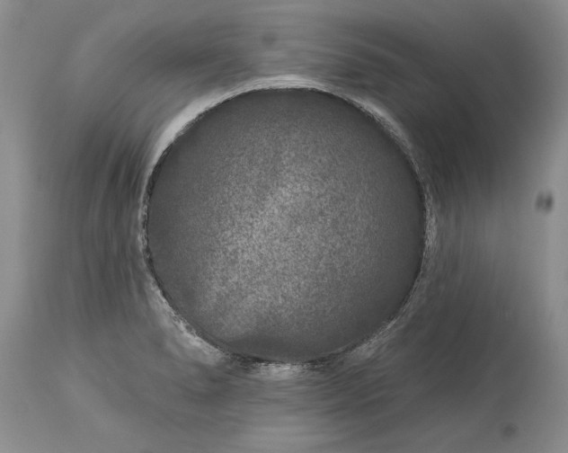 X0000113581278200910021644