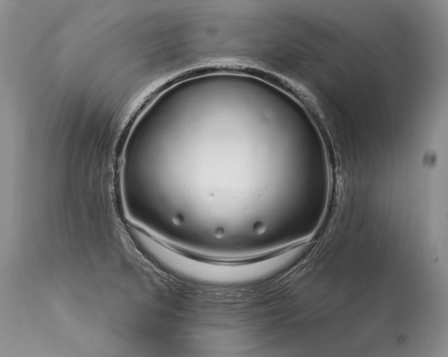 X0000113581279200910021644