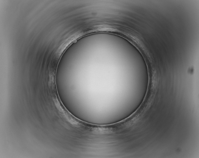 X0000113581281200910021644