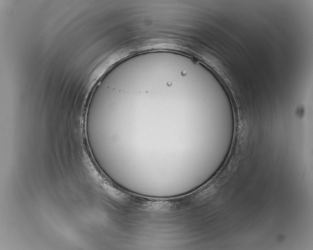 X0000113581282200910021644