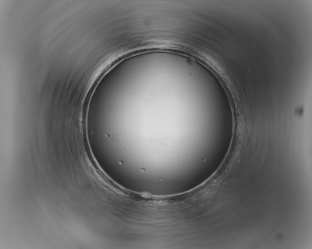 X0000113581283200910021644