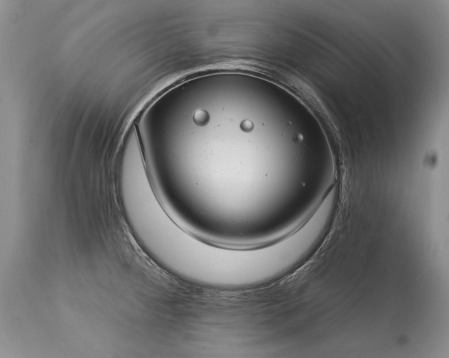 X0000113581284200910021644