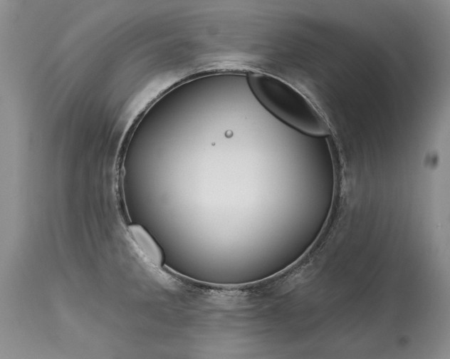 X0000113581285200910021644