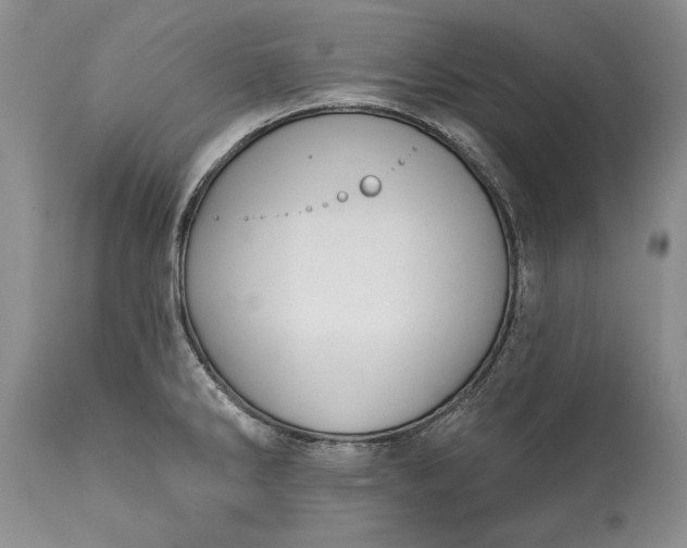 X0000113581286200910021644