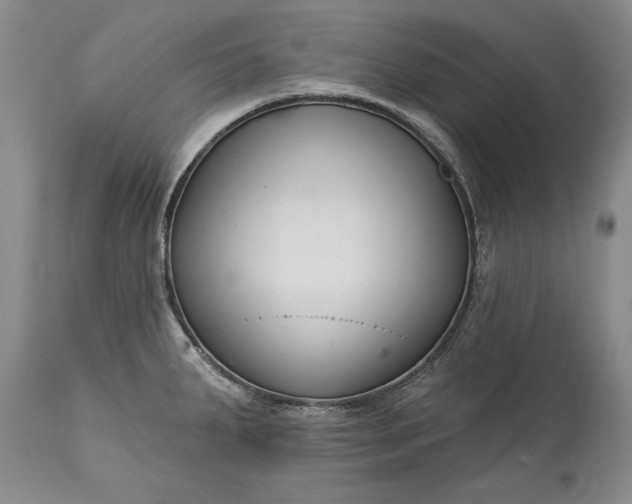 X0000113581287200910021644