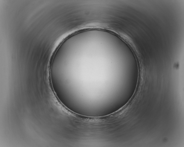 X0000113581288200910021644