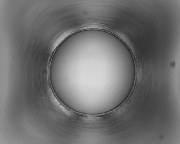 X0000113581290200910021644