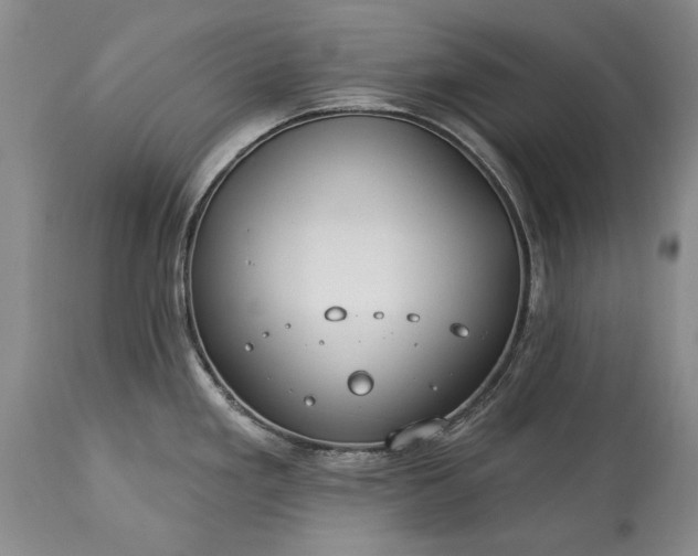 X0000113581293200910021644