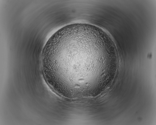 X0000113581295200910021644