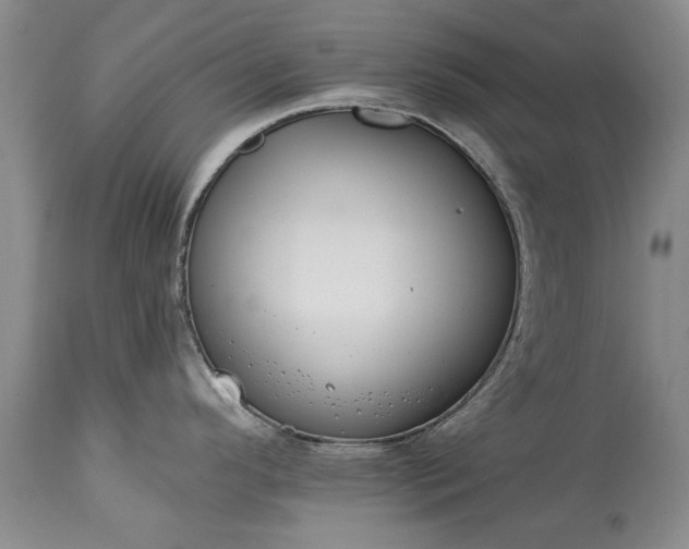 X0000113581296200910021644