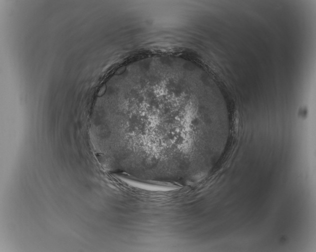 X0000113581297200910021643