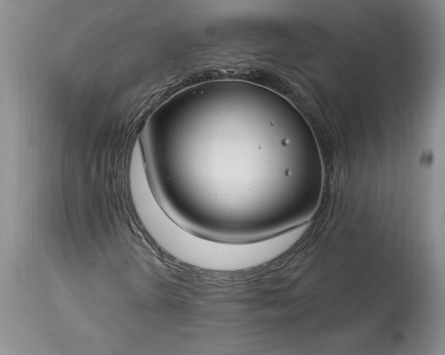 X0000113581298200910021643