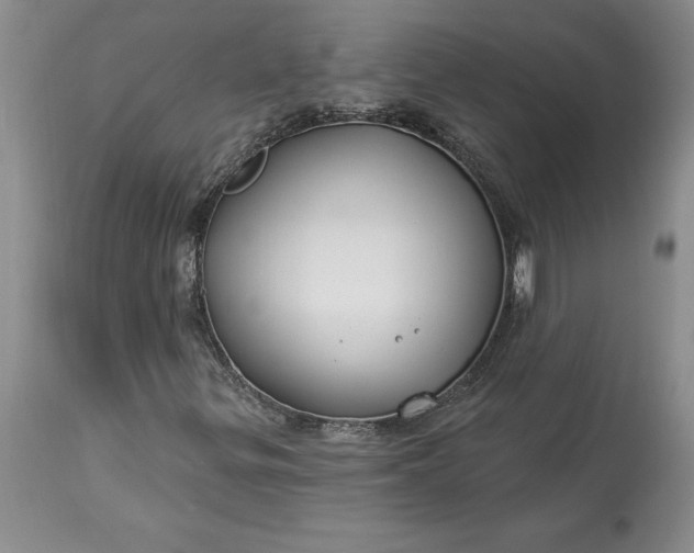 X0000113581299200910021643