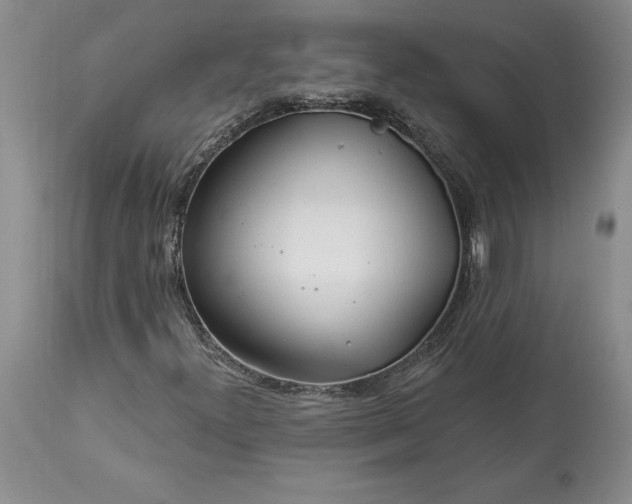 X0000113581300200910021643