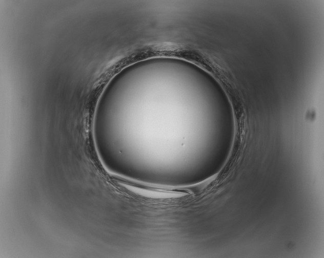 X0000113581301200910021643