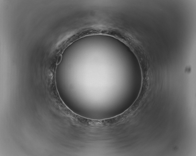 X0000113581302200910021643