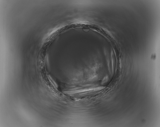 X0000113581303200910021643