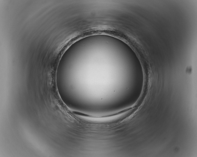 X0000113581305200910021643