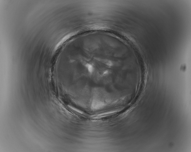 X0000113581306200910021643