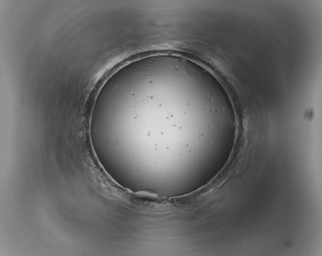 X0000113581308200910021643