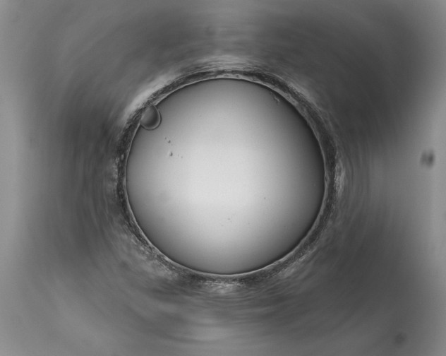 X0000113581309200910021643