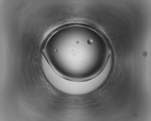 X0000113581312200910021643