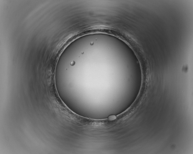 X0000113581313200910021643