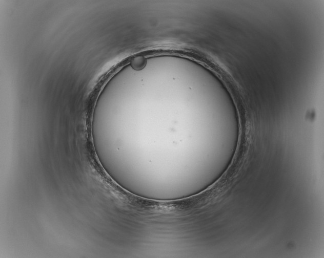 X0000113581315200910021643