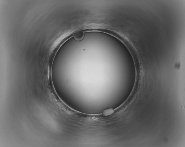 X0000113581317200910021643