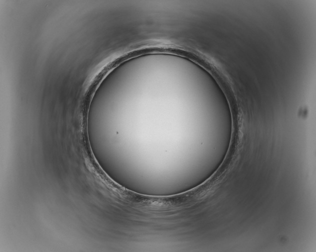 X0000113581318200910021643