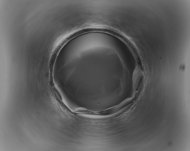 X0000113581319200910021643