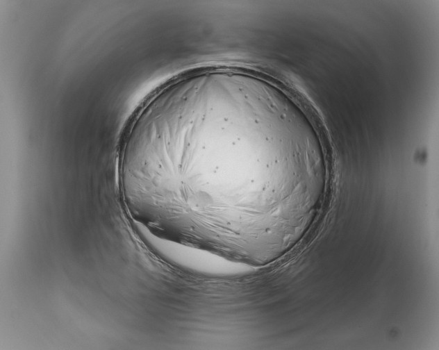 X0000113581320200910021643