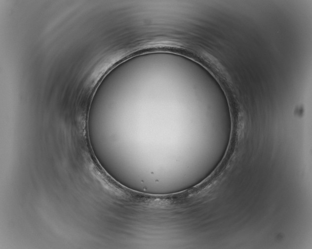 X0000113581321200910021643