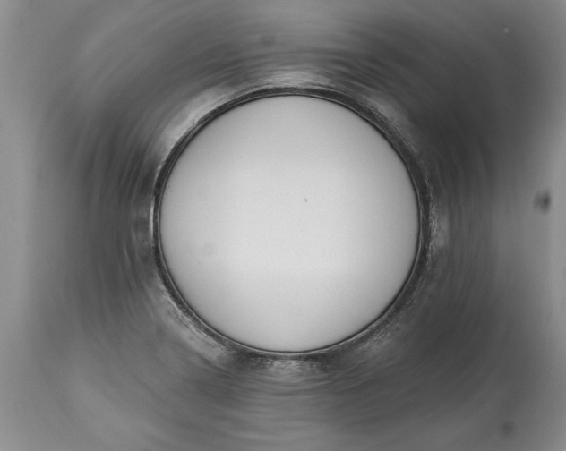 X0000113581322200910021643