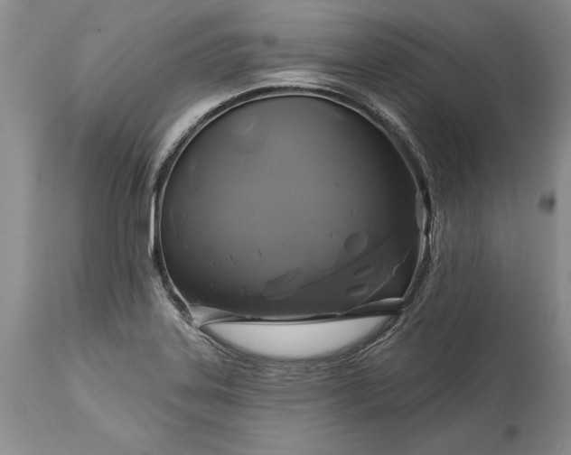 X0000113581323200910021643