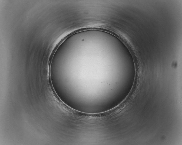 X0000113581324200910021643