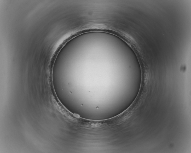 X0000113581326200910021643