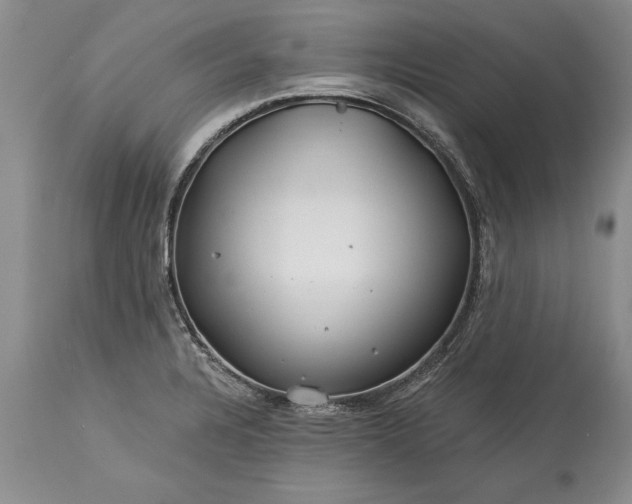 X0000113581328200910021643