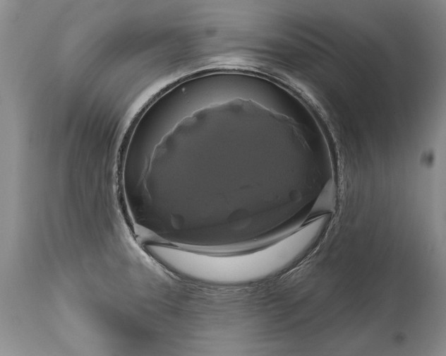 X0000113581331200910021643