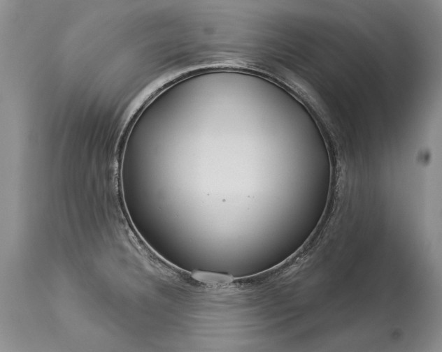 X0000113581332200910021643