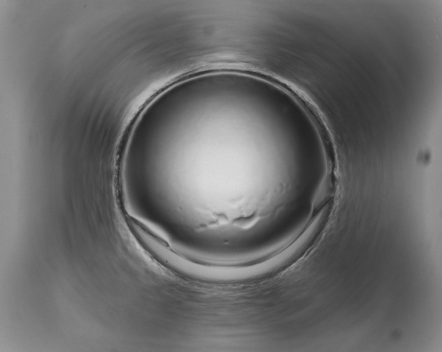 X0000113581333200910021643