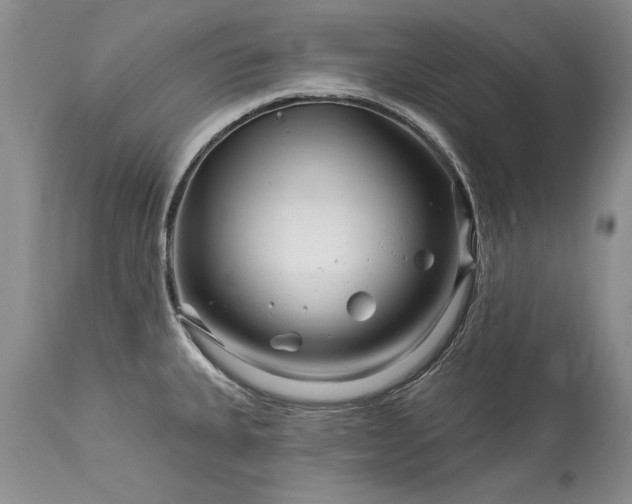 X0000113581335200910021643