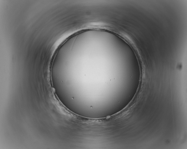 X0000113581336200910021643