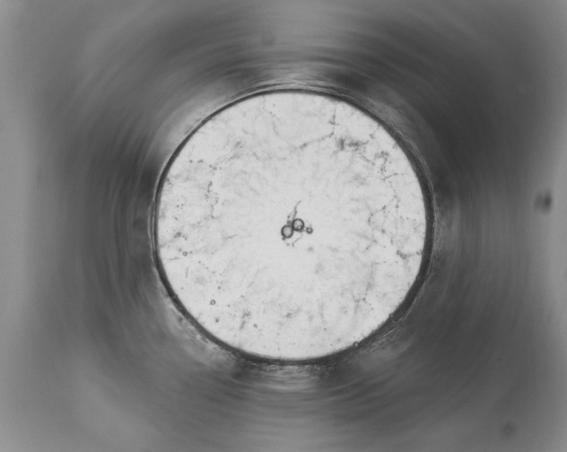 X0000113581338200910021643