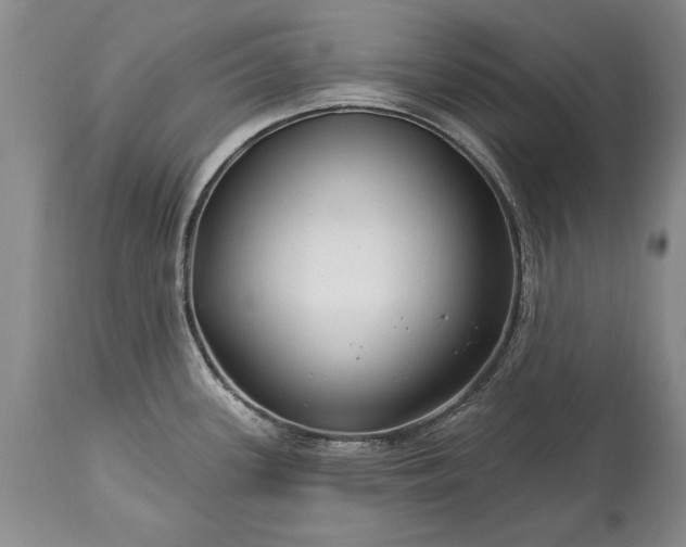 X0000113581339200910021643