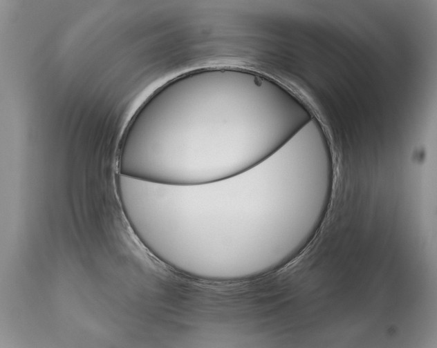 X0000113581340200910021643