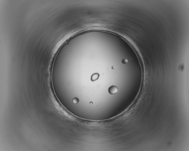 X0000113581341200910021643