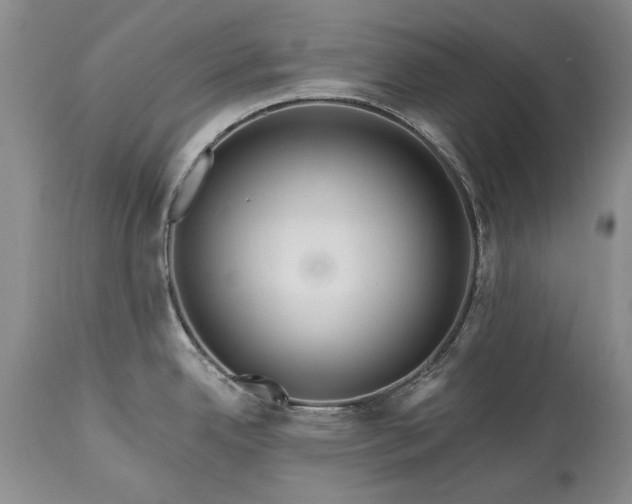 X0000113581342200910021643