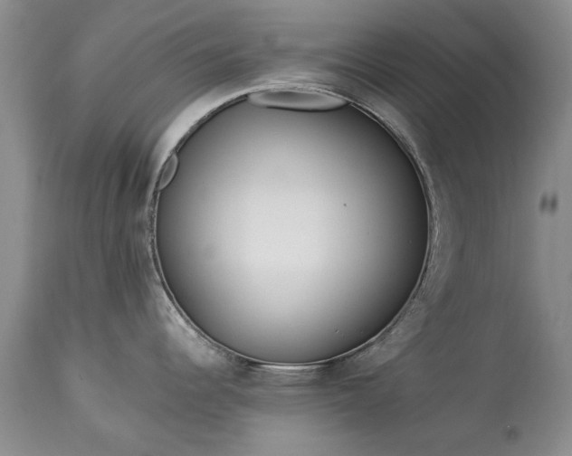 X0000113581344200910021643