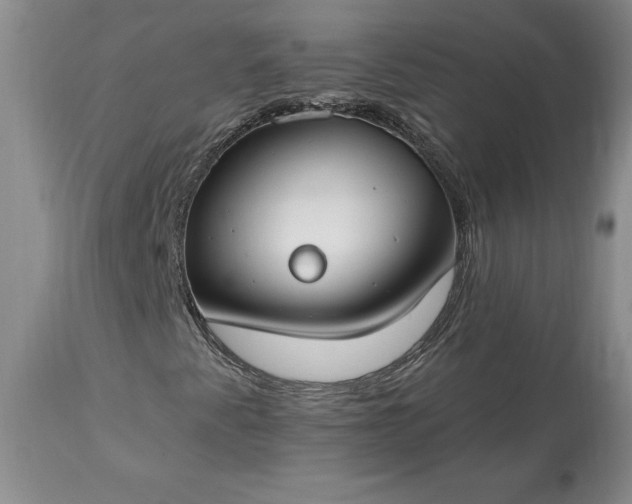 X0000113581345200910021643